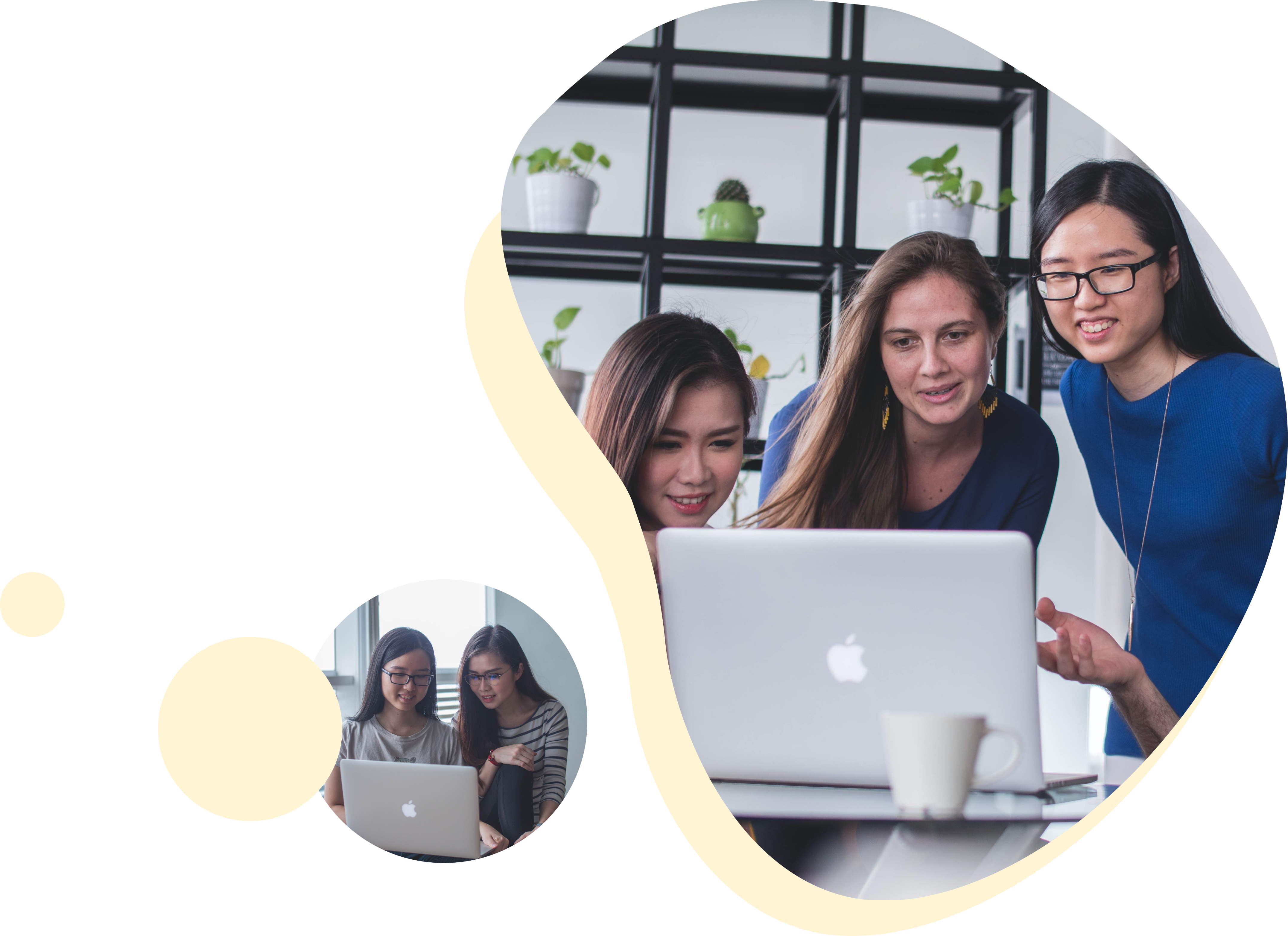 intro-what-business-icon